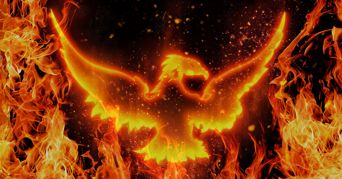 Agents, fraud and phoenixing